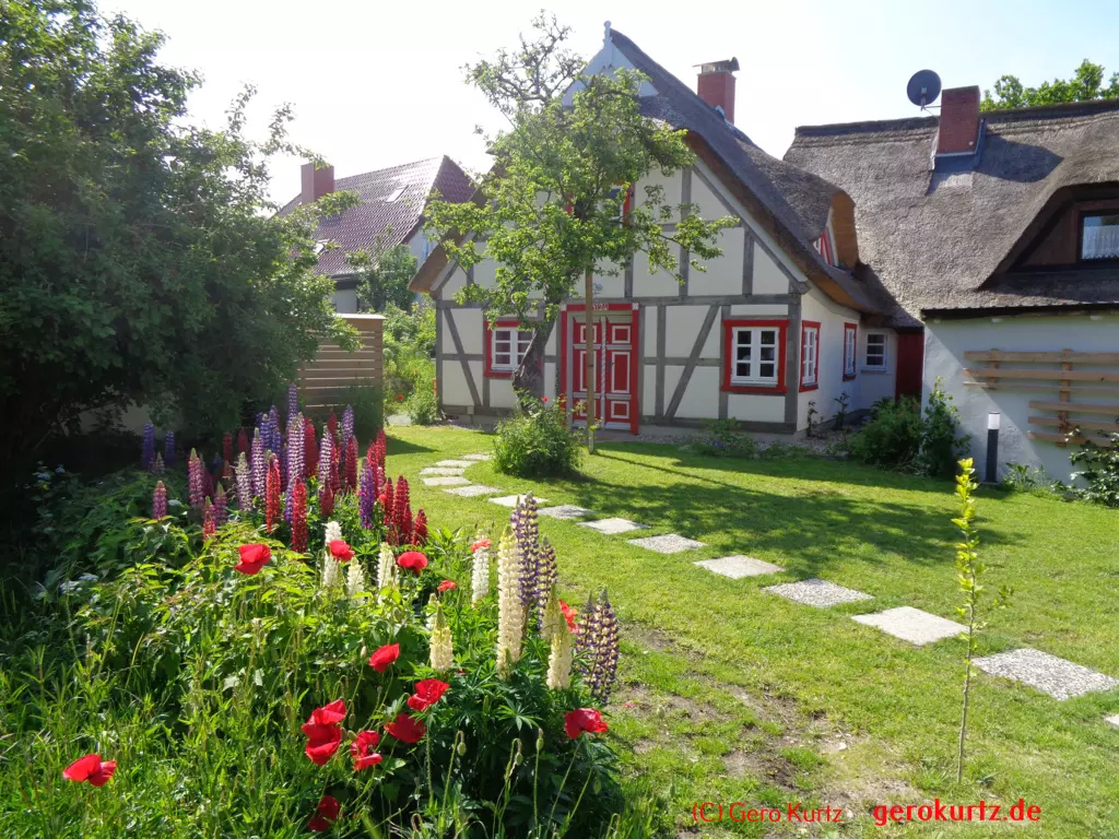 Reisebericht Ostseebad Wustrow - altes Haus mit Strohdach und Blumen